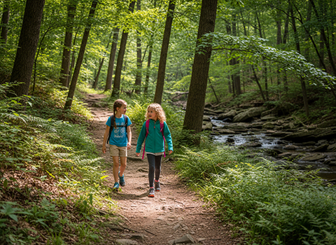 Patapsco Valley State Park Trail